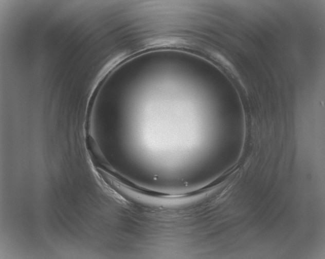 X0000054411330200508121715