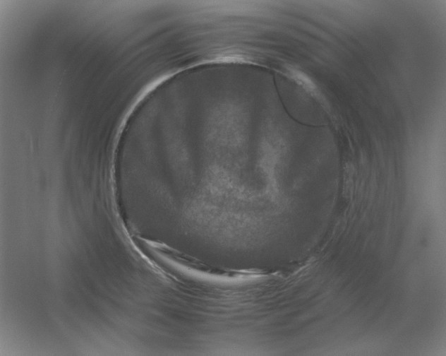 X0000054411331200508121715