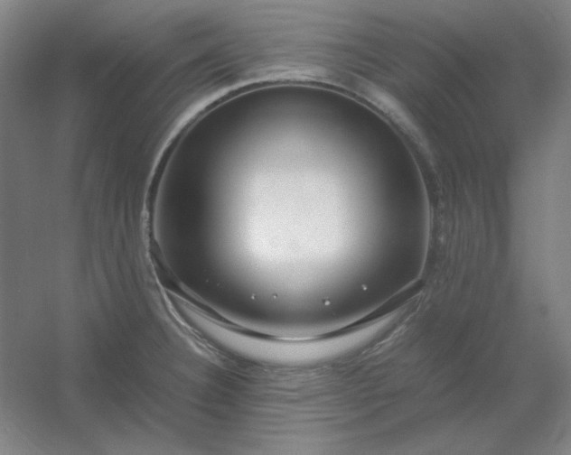 X0000054411332200508121715