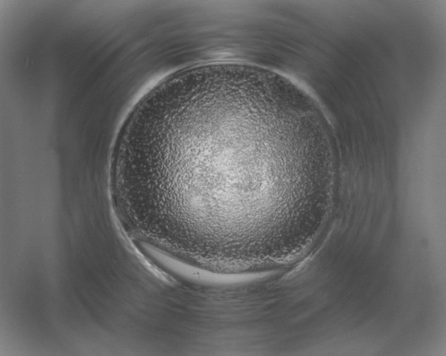 X0000054411333200508121715