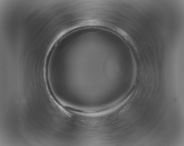 X0000054411334200508121715