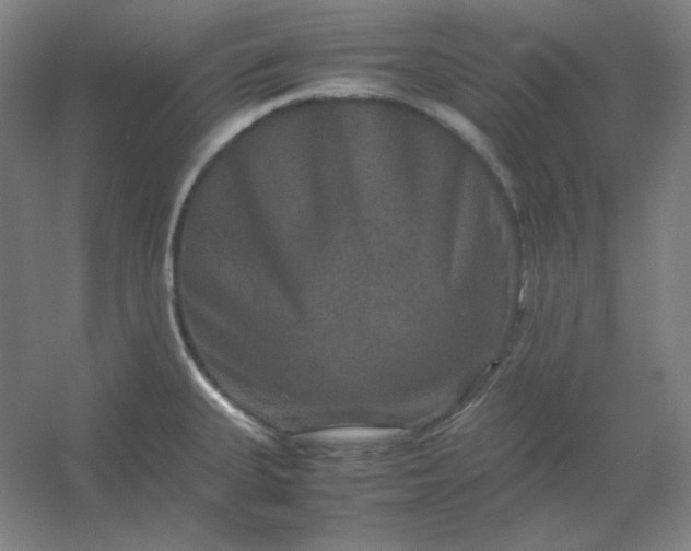 X0000054411335200508121715