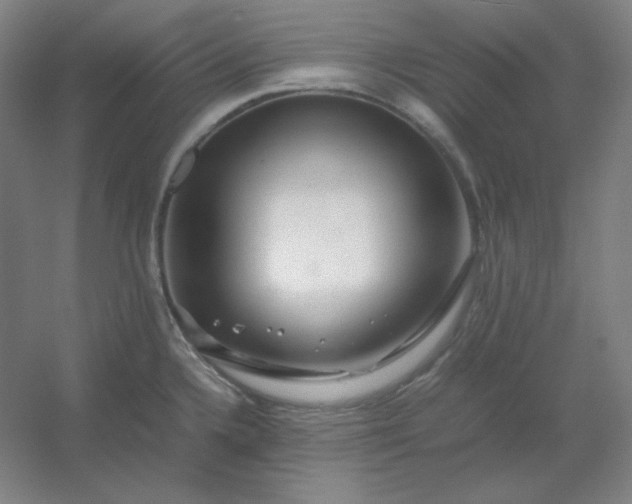 X0000054411336200508121715