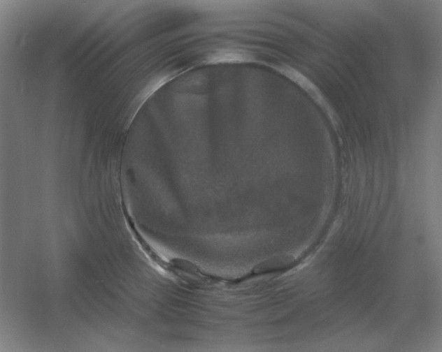 X0000054411337200508121715