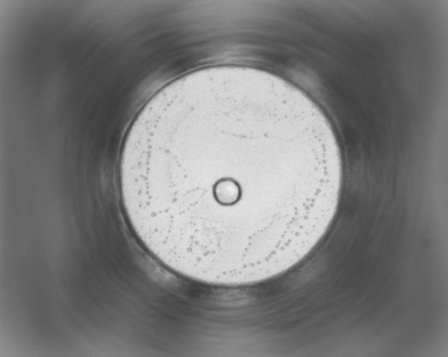 X0000054411338200508121715