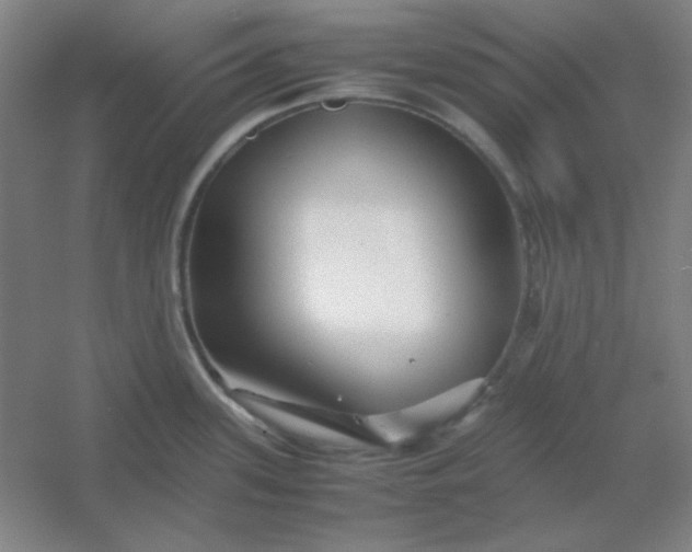 X0000054411339200508121715