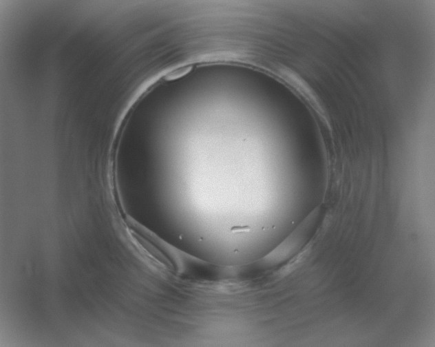 X0000054411340200508121715