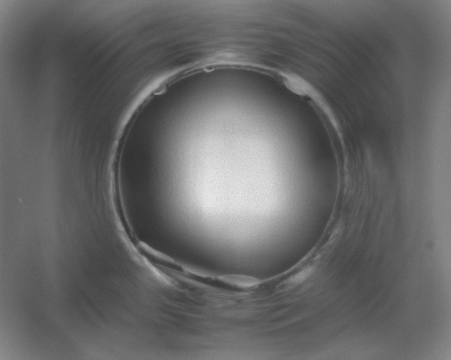 X0000054411341200508121715