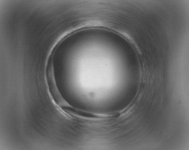 X0000054411342200508121715