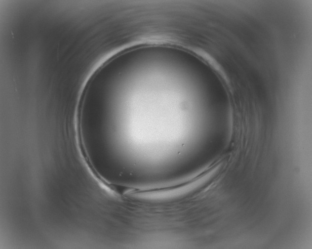 X0000054411343200508121715