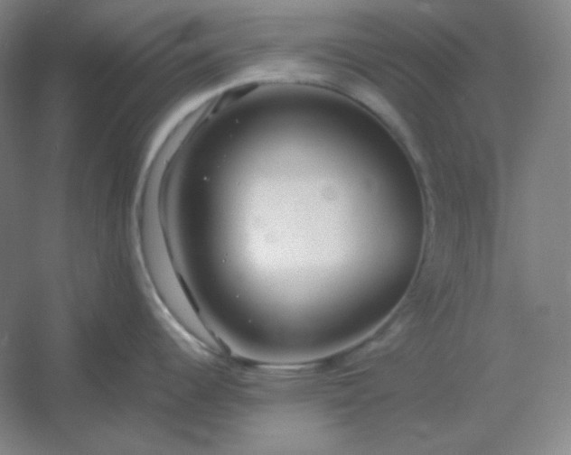 X0000054411344200508121715