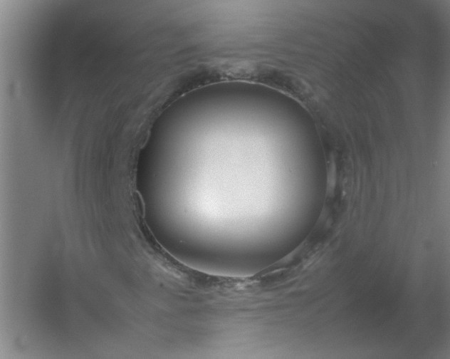 X0000054411345200508121714