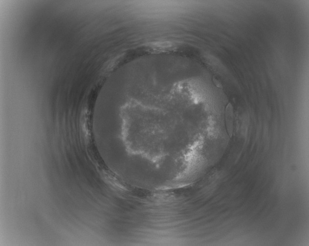 X0000054411346200508121714