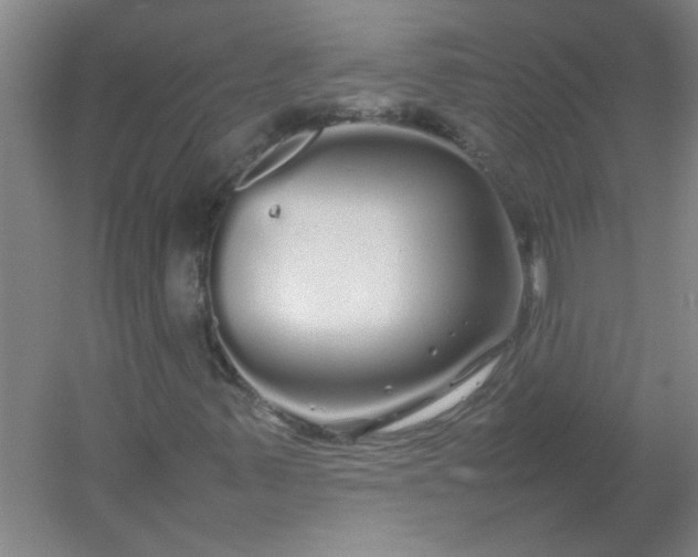 X0000054411347200508121714