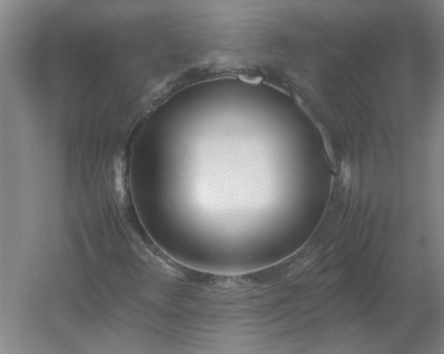 X0000054411348200508121714