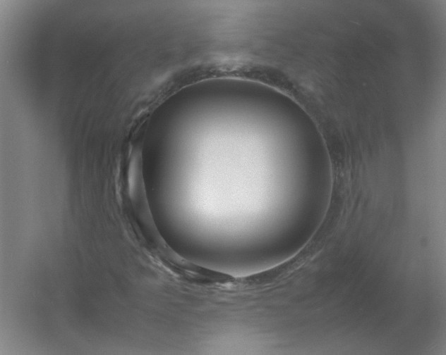 X0000054411349200508121714