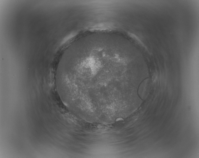 X0000054411350200508121714