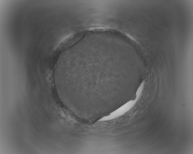 X0000054411351200508121714