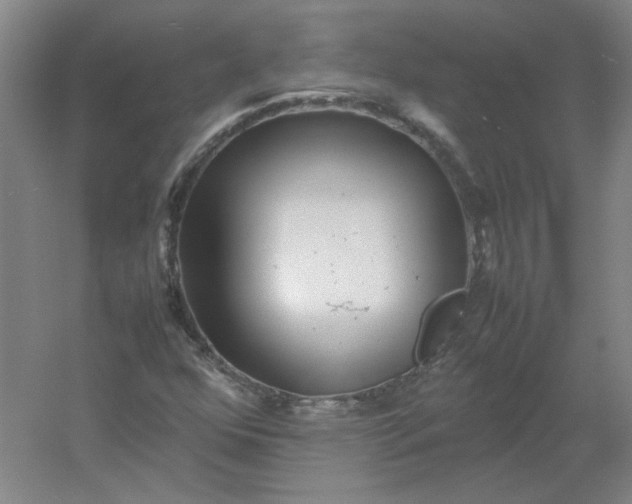 X0000054411352200508121714