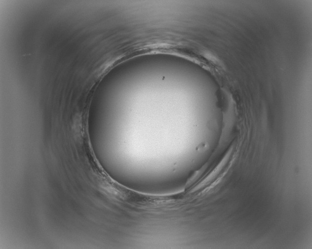 X0000054411353200508121714