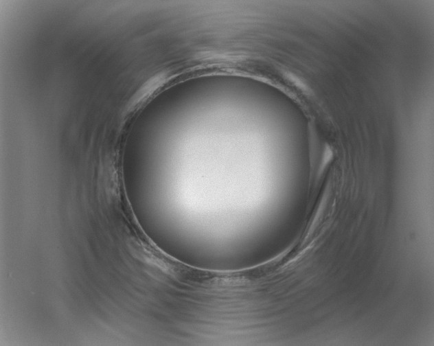 X0000054411354200508121714