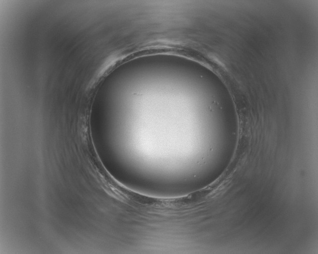 X0000054411355200508121714