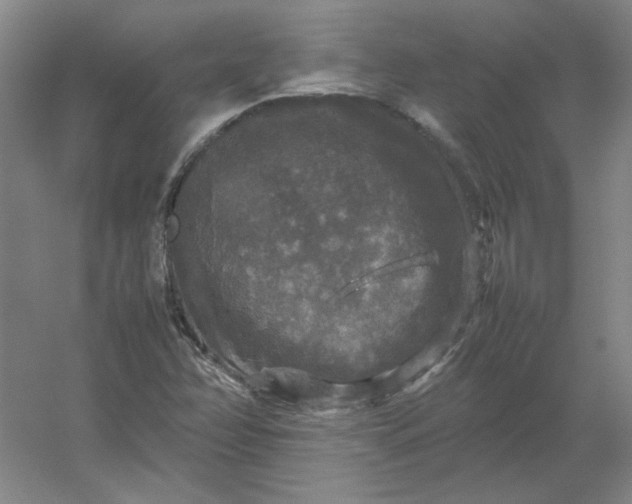 X0000054411358200508121714