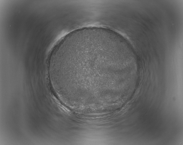 X0000054411359200508121714