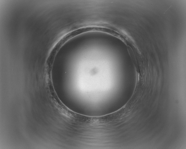 X0000054411360200508121714