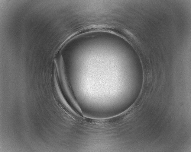 X0000054411361200508121714