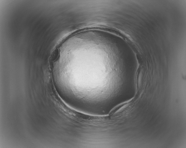 X0000054411363200508121714