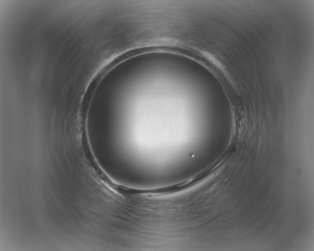 X0000054411364200508121714