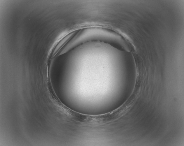 X0000054411365200508121714