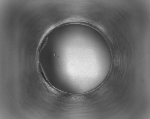 X0000054411366200508121714