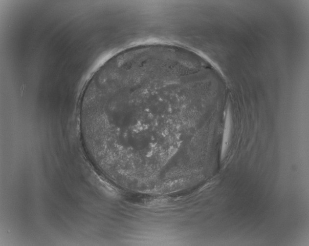 X0000054411367200508121714