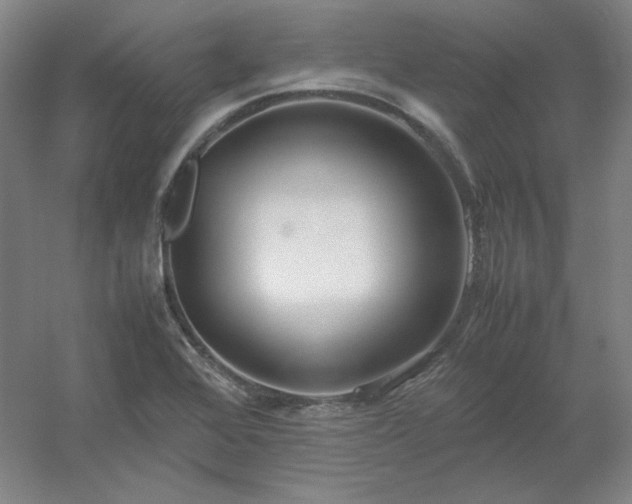 X0000054411368200508121714