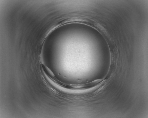 X0000054411369200508121714