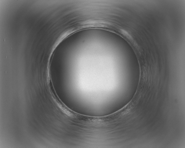 X0000054411370200508121714