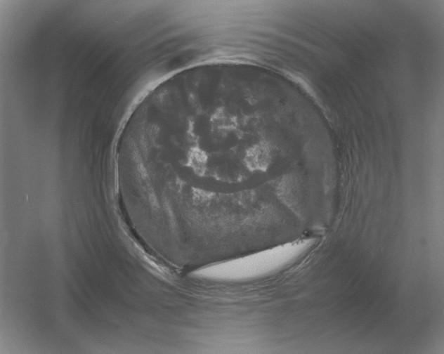 X0000054411371200508121714