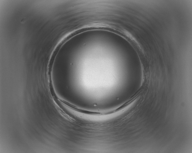 X0000054411372200508121714