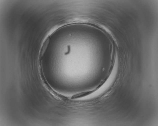 X0000054411373200508121714