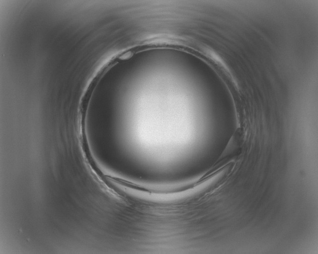 X0000054411376200508121714