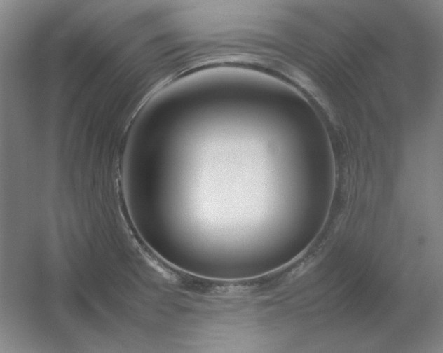 X0000054411377200508121714