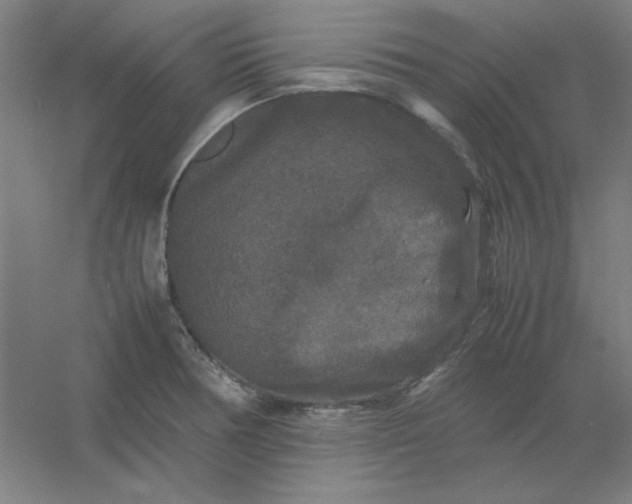 X0000054411378200508121714