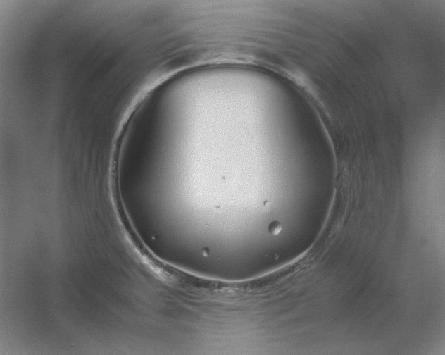 X0000054411379200508121714