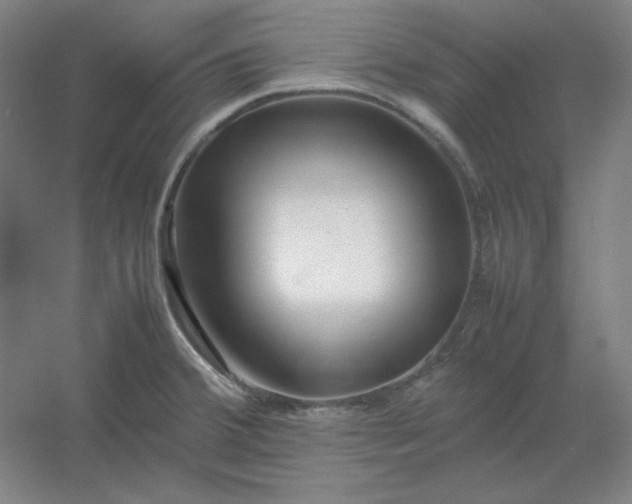 X0000054411380200508121714