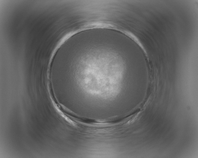 X0000054411381200508121714