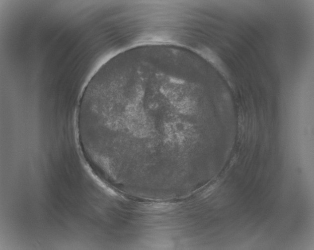 X0000054411382200508121714