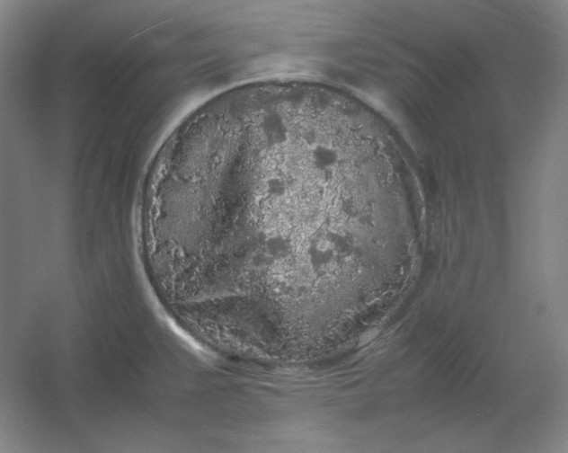 X0000054411383200508121714