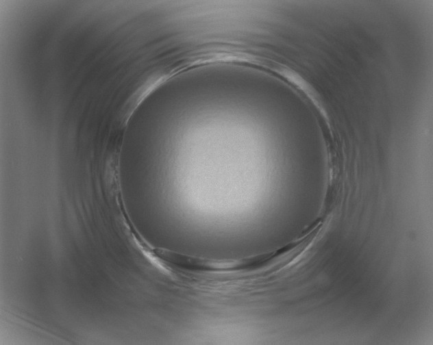 X0000054411385200508121714